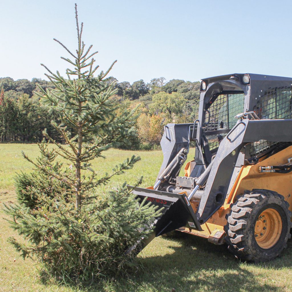 GreyWolf™ Skid Steer Stump Bucket Tree Removal GreyWolf™ Attachments