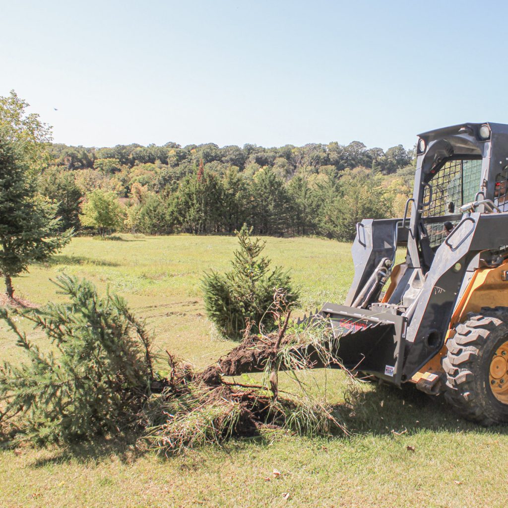 GreyWolf™ Skid Steer Stump Bucket Tree Removal GreyWolf™ Attachments
